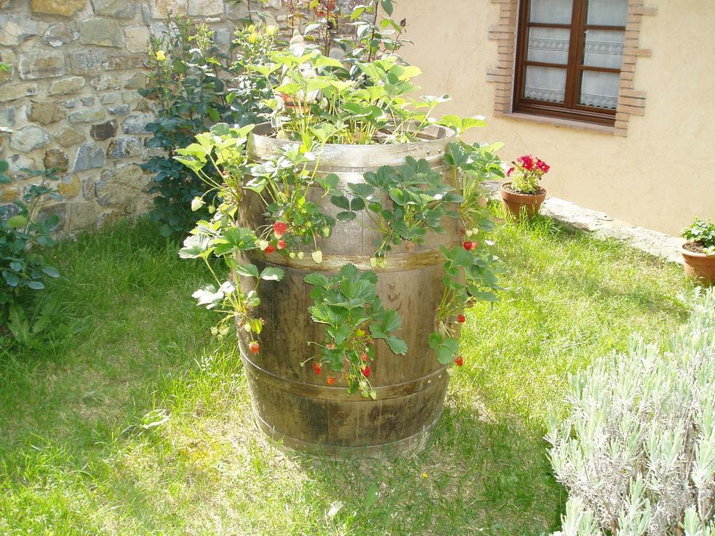 Agriturismo Podere Micitto Usi Экстерьер фото