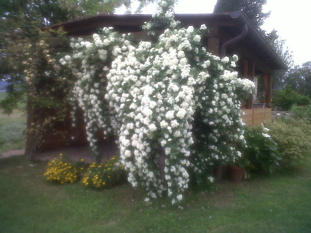 Agriturismo Podere Micitto Usi Экстерьер фото