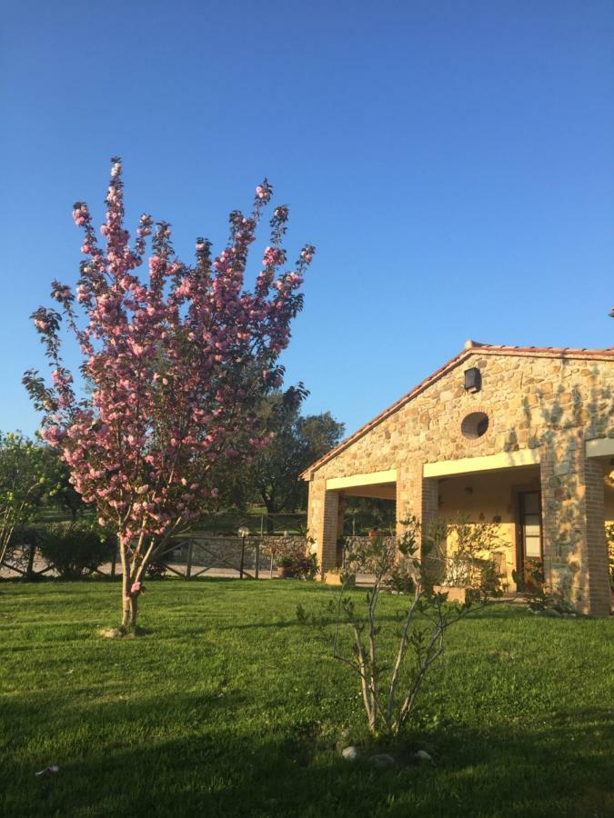 Agriturismo Podere Micitto Usi Экстерьер фото